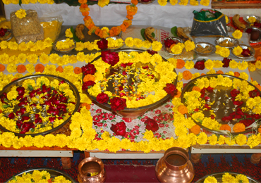 KaalSarp Shanti Puja